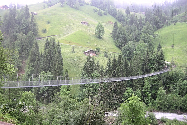 Suspension bridge