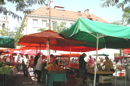 Fruit Market